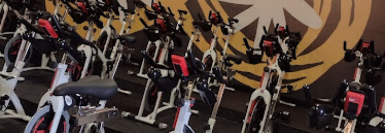 Spin´n Soul – Santo Andre