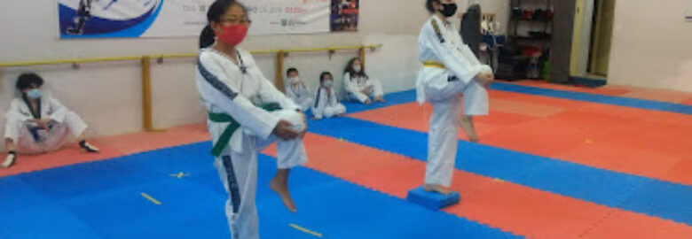 Yong In Dae Martial Arts