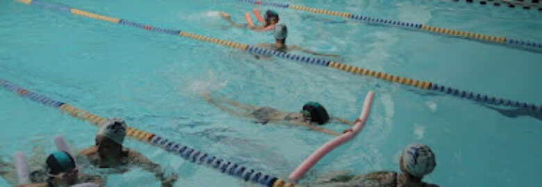 Freestyle Swim School