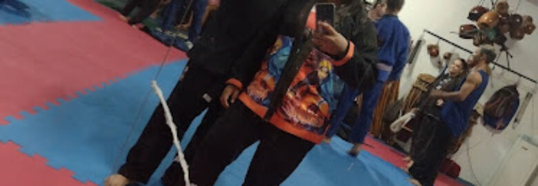 Academia Ginga Brasileira