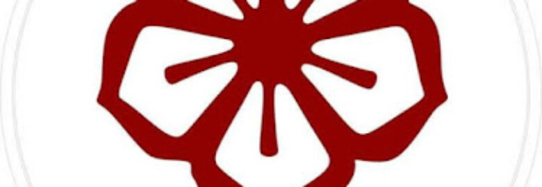 Associação de Jujitsu de campina grande