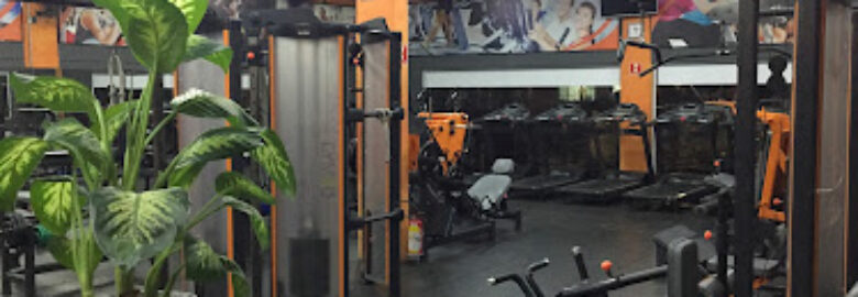 Tribo Fitness
