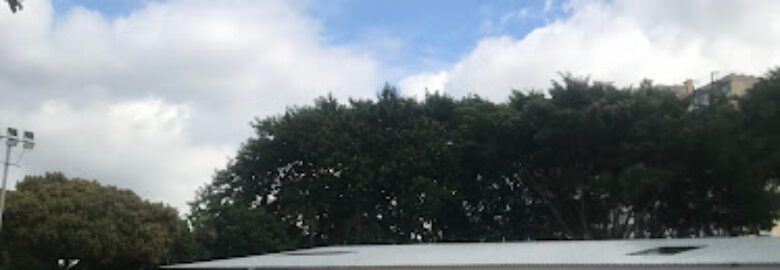 Centro Esportivo Mané Garrincha