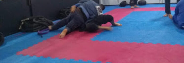 RILION GRACIE JIU JITSU ACADEMY
