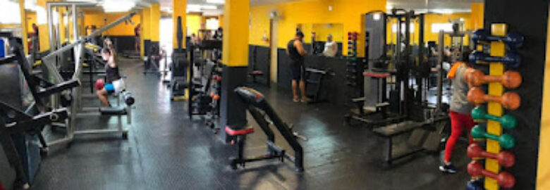 PbFit academia