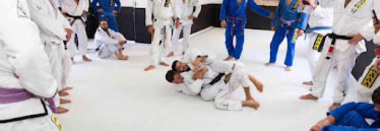 Alliance Jiu Jitsu Team – Academia Perdizes