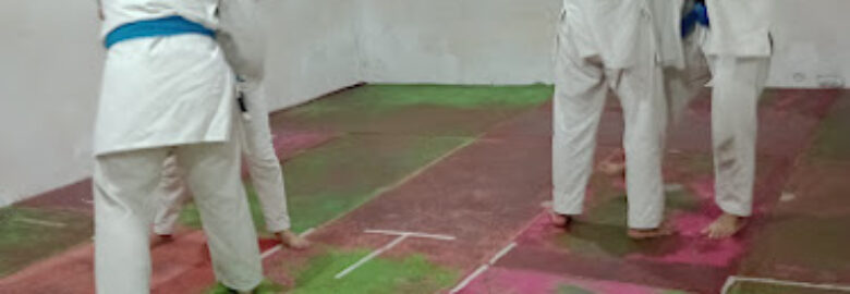 Associação Bôto Costa