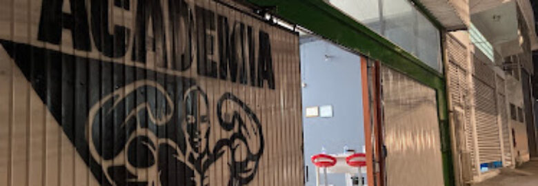 Academia Scultural
