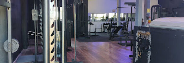 MZFIT