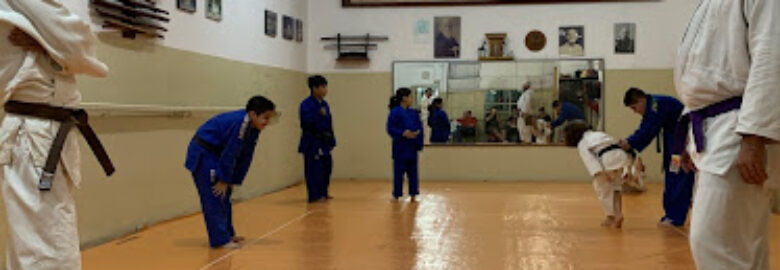 Karaté Wadō – Academia WaDô-Kai