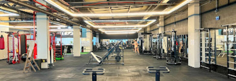 MY GYM