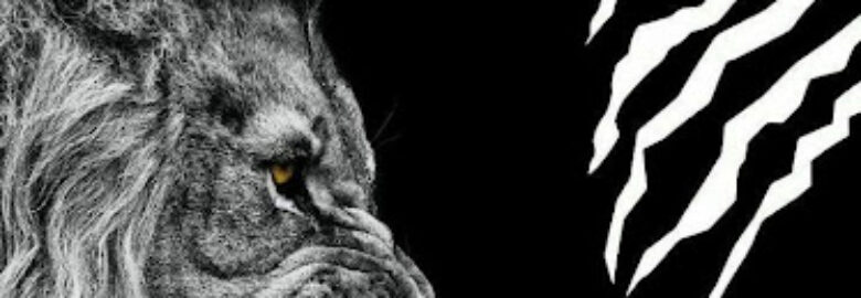 Lions Training Garage Gym