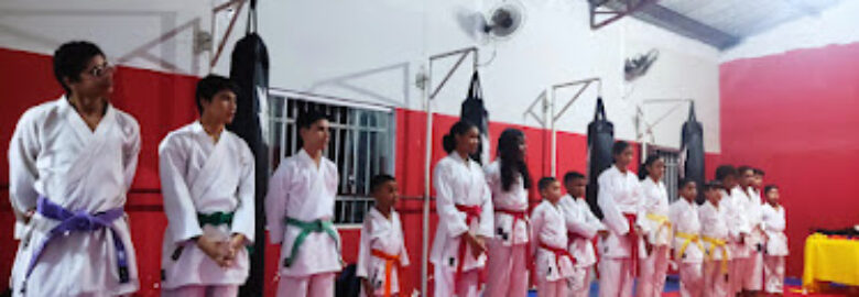 LIPAKI Liga Paraense de Karatê Interestilos