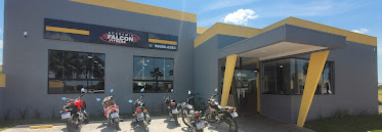 Academia Falcon 2