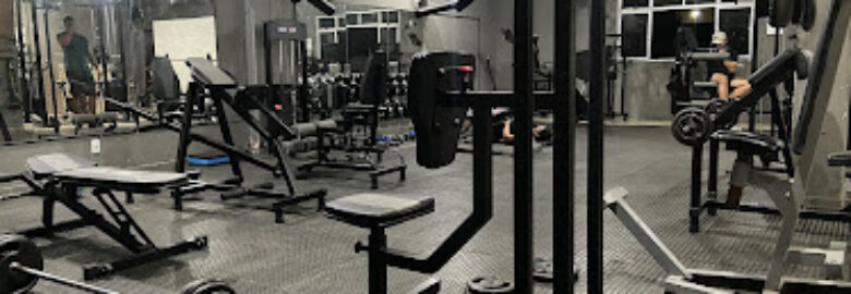 Academia Punho de Ferro