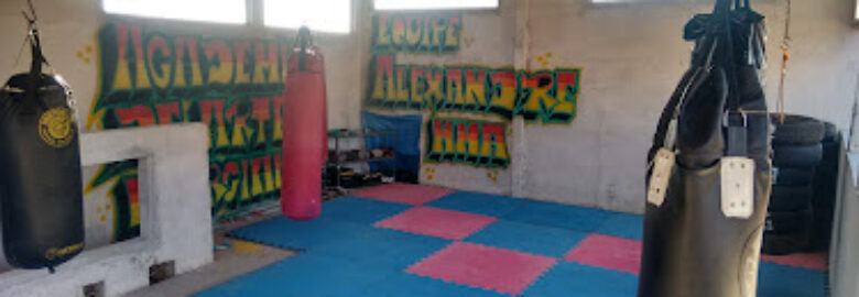 Academia Fênix De Artes Marciais