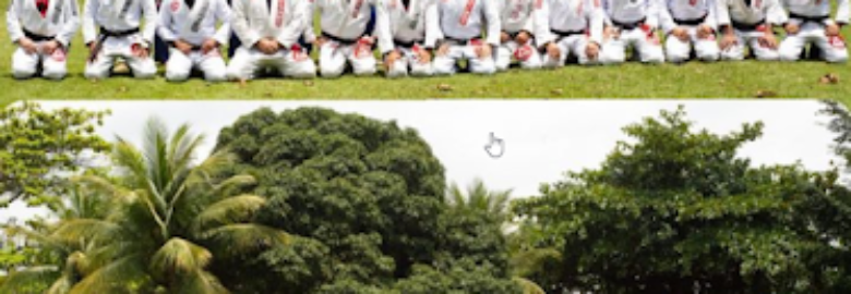 Gracie Barra Recreio