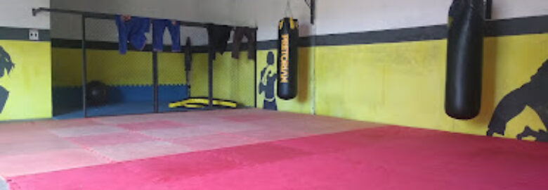 Strong Gato Preto Training School