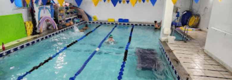 Dolphin Water Activities