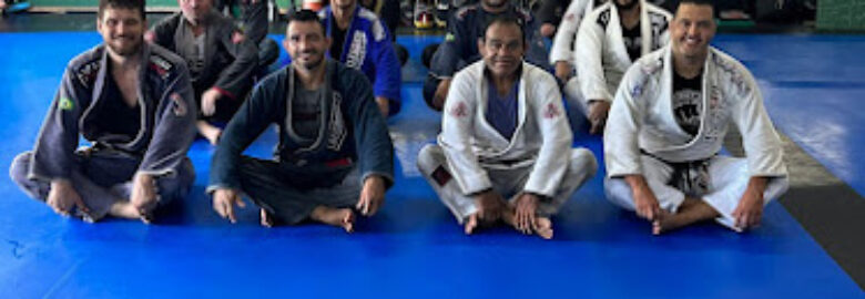 Santini fight team