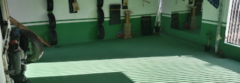 CENTRO MARCIAL WING CHUN APLICADO