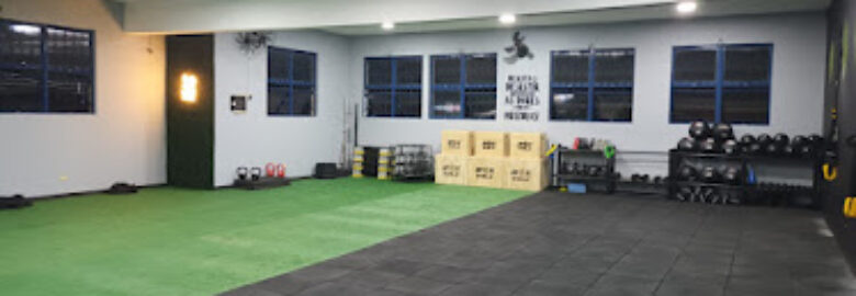 Cris Souza Treinamento Funcional