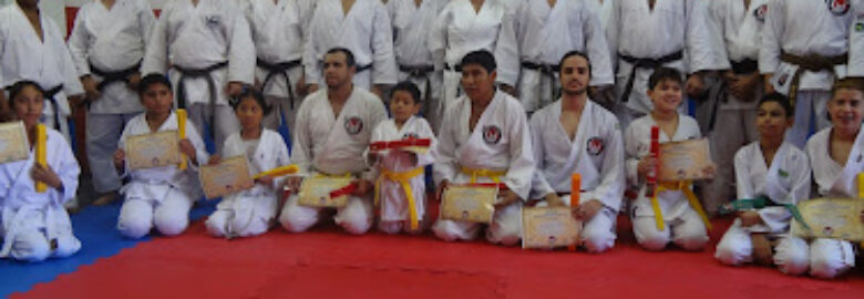 Meijutsu academia de artes marciais