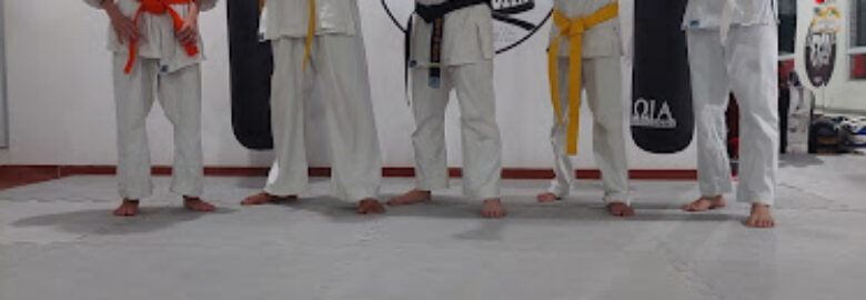 G13 BJJ MARAJOARA – Jiu Jitsu, Muay Thai, Boxe, Capoeira e Karate