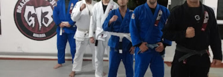 Black Puma Academia Jiu-jitsu, Muay Thai, Capoeira, Karate e Boxe