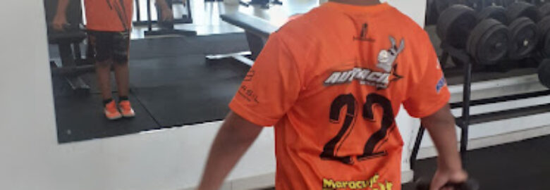 Enforce Fitness