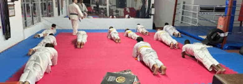 Federação Educacional Santa Catarina de Artes Marciais