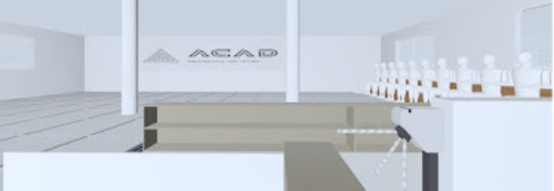 Acad Brazilian Jiu Jitsu