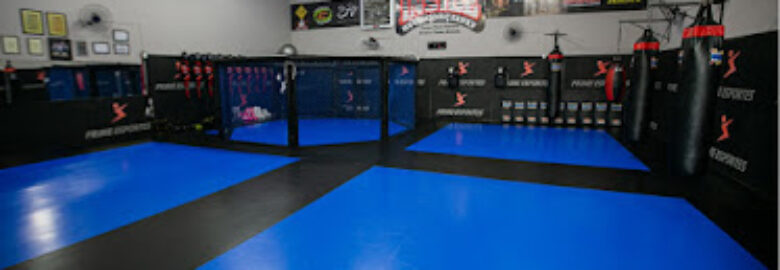 INSIDE HUGO GONÇALVES – Centro de Treinamento de Lutas