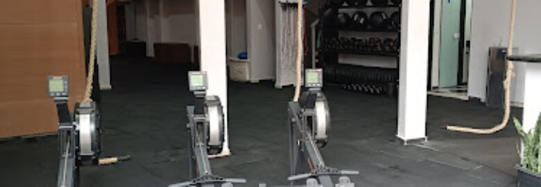 CrossFit Lion Shield