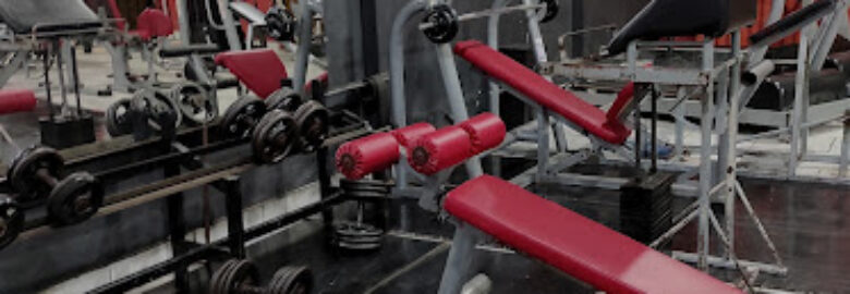 Top Trainer Academia