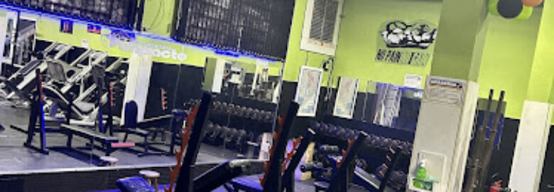 Academia Impacto
