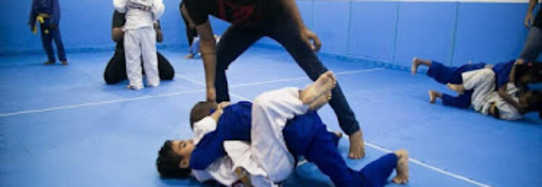 Gracie Barra Parque Tropical