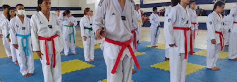 Academia LC TAEKWONDO
