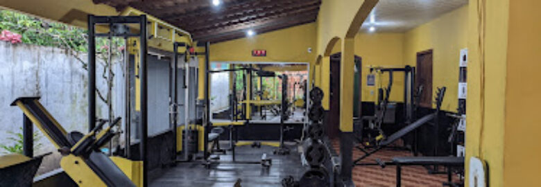 Academia Iron Man Fitness