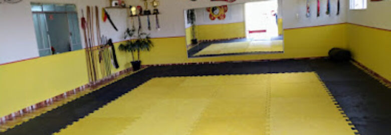 Lince Fight Training