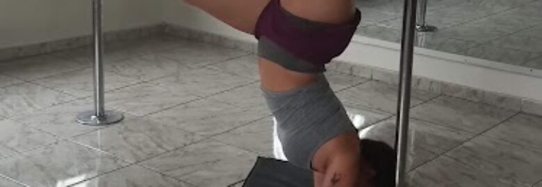 Escola Pole Arte Brasil