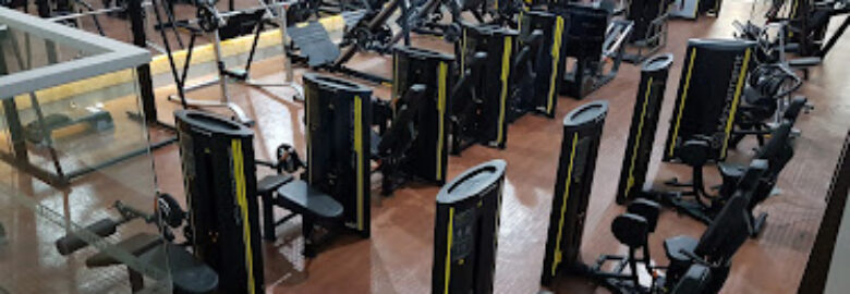 Academia Vip fitness mcz