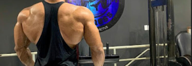 Academia Invictus Fitness