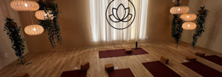 Vidya Studio – Paraíso