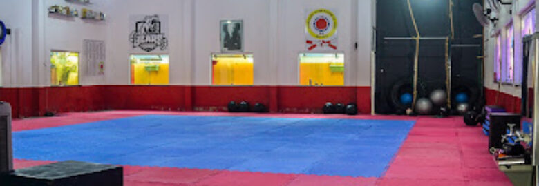 ASSOCIAÇÃO VICTOR ALECRIM DE JUDO