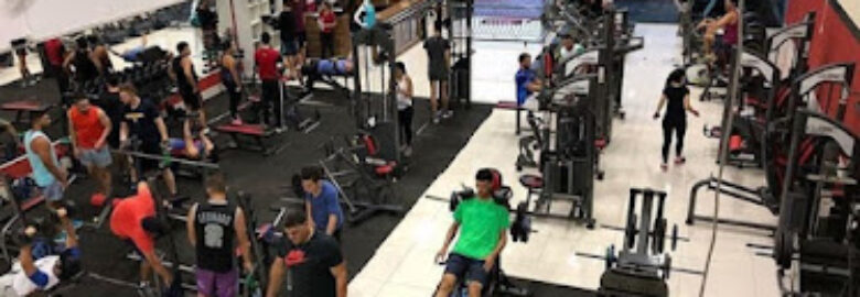 Academia New Life