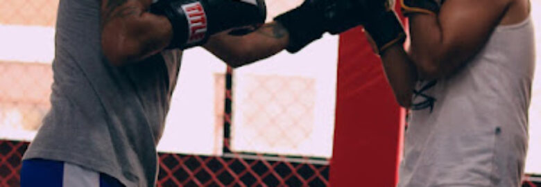 Academia 011 MMA