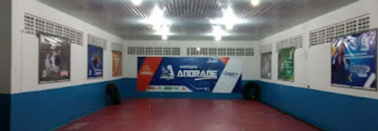 Instituto Andrade