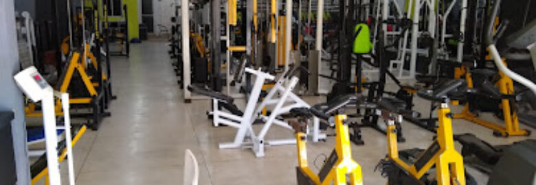 Arena fitness