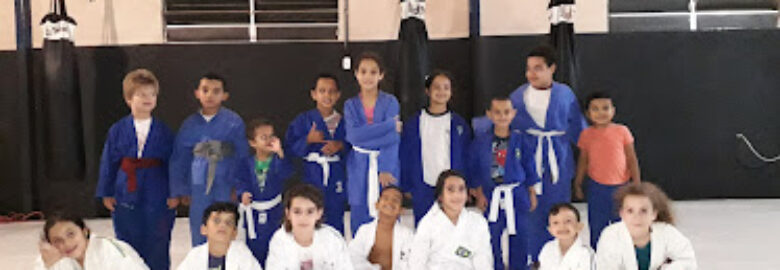 Academia Fight Team